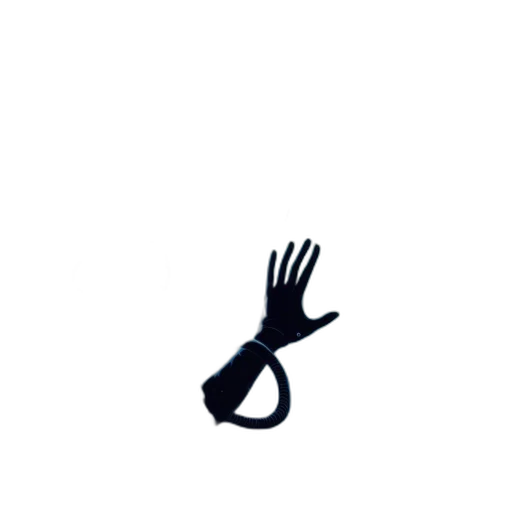 hair, hat, animal, staff transparent PNG cut-out