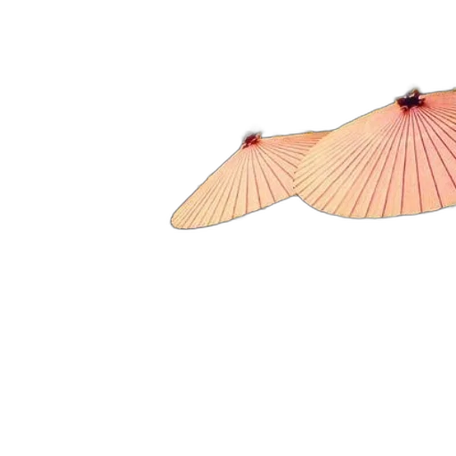 umbrella, jewelry, flower, dragon transparent PNG cut-out