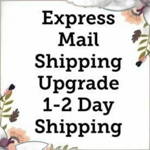 express, mail, shipping, upgrade transparent PNG cut-out