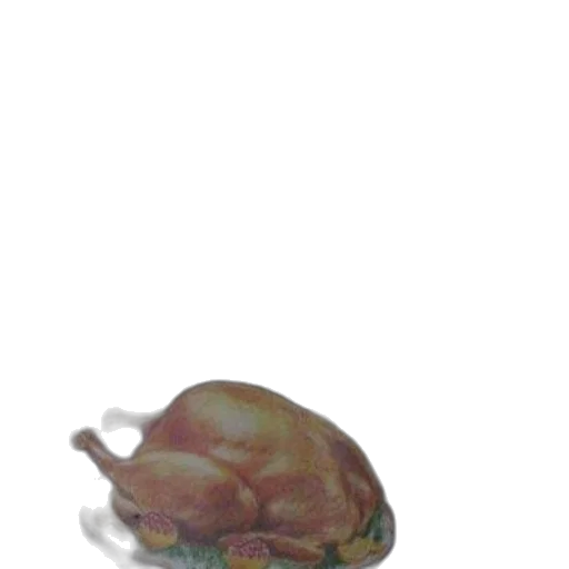 animal, creature, hat, jewelry transparent PNG cut-out