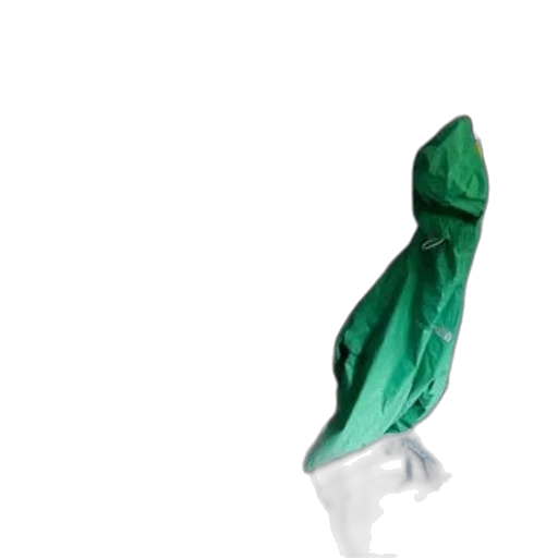 umbrella, jacket, dress, staff transparent PNG cut-out