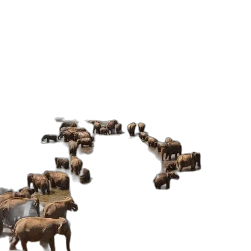 animal, furniture, jewelry, weapon transparent PNG cut-out