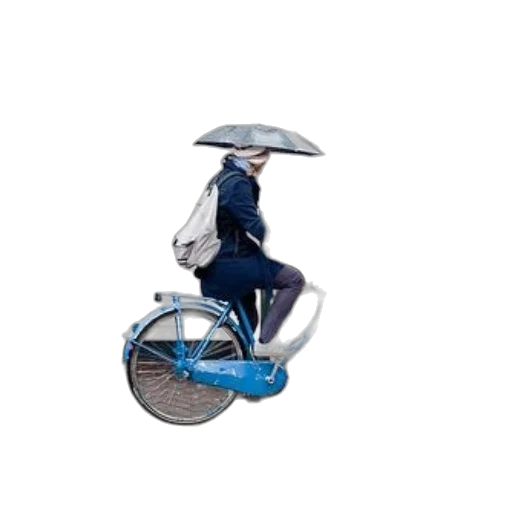 umbrella, jacket, hat, animal transparent PNG cut-out