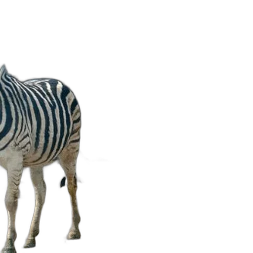animal, creature, 3d render, concept art transparent PNG cut-out
