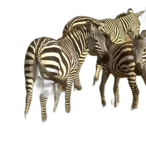 animal, 3d render, concept art, photorealistic transparent PNG cut-out