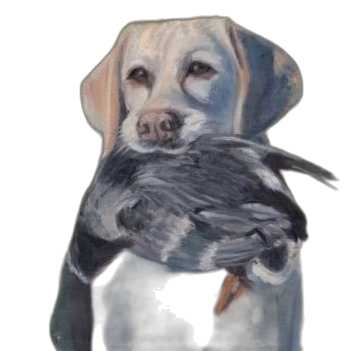 animal, creature, jacket, oil painting transparent PNG cut-out