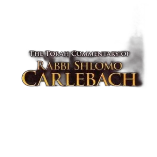 concept art, torah, commentary, rabbi transparent PNG cut-out