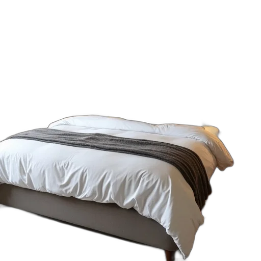 furniture, staff, crown, jacket transparent PNG cut-out