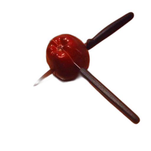 food, staff, weapon, umbrella transparent PNG cut-out