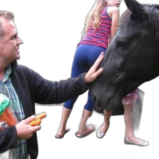 animal, creature, man, feeding transparent PNG cut-out