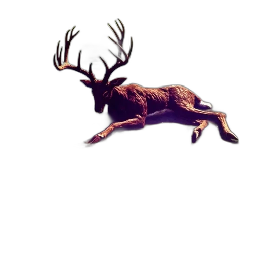animal, creature, crown, concept art transparent PNG cut-out
