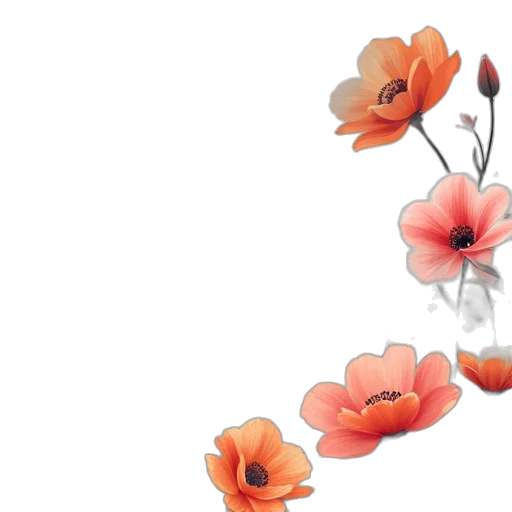 flower, crown, dress, weapon transparent PNG cut-out