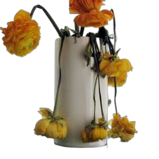 flower, crown, photorealistic, 3d render transparent PNG cut-out