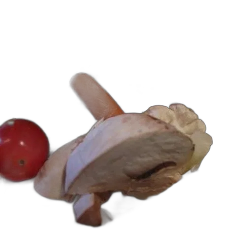 food, weapon, animal, staff transparent PNG cut-out