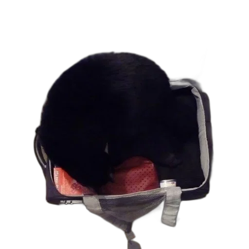 hat, mask, staff, hair transparent PNG cut-out