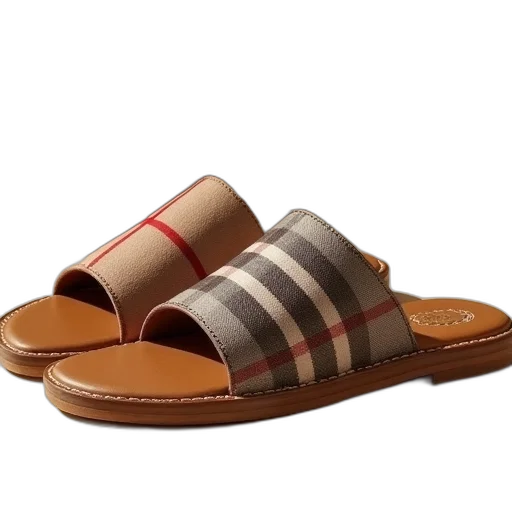 shoes, classic, flip, sandal transparent PNG cut-out