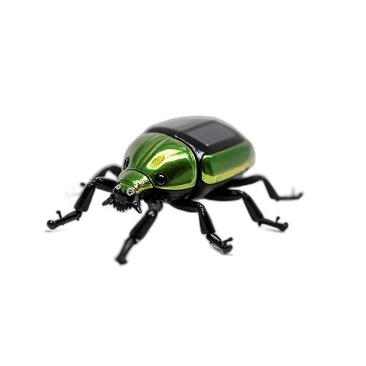 animal, creature, robot, jewelry transparent PNG cut-out