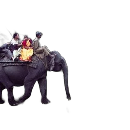 animal, crown, concept art, 3d render transparent PNG cut-out