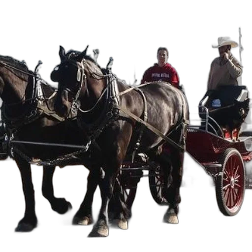 car, staff, concept art, two transparent PNG cut-out