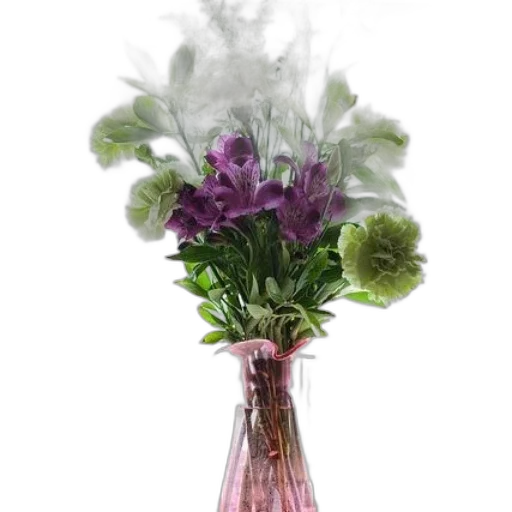 bottle, crown, flower, hat transparent PNG cut-out