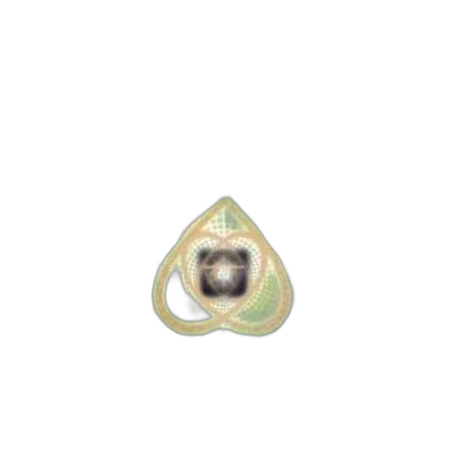 jewelry, crown, flower, mask transparent PNG cut-out