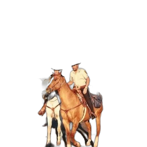 animal, staff, hat, jacket transparent PNG cut-out