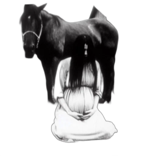 animal, hair, crown, creature transparent PNG cut-out