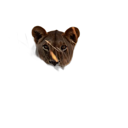 animal, mask, face, jewelry transparent PNG cut-out