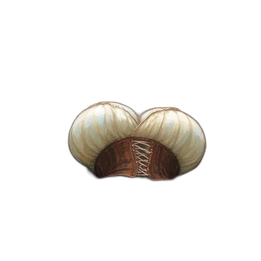 jewelry, crown, hair, hat transparent PNG cut-out