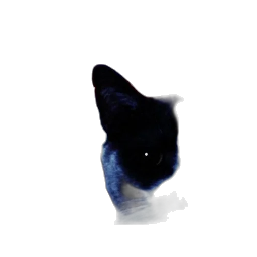 animal, creature, staff, hat transparent PNG cut-out