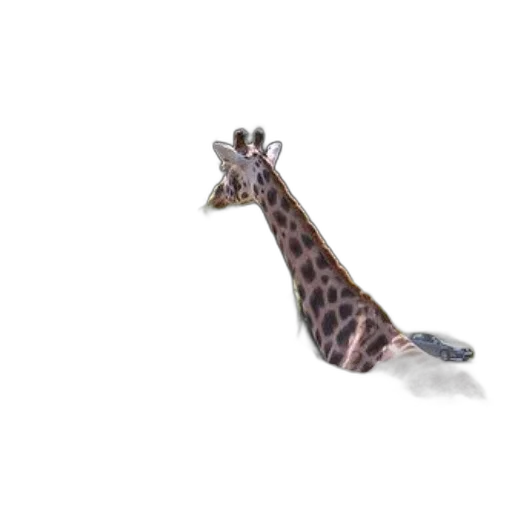 animal, creature, staff, shoes transparent PNG cut-out