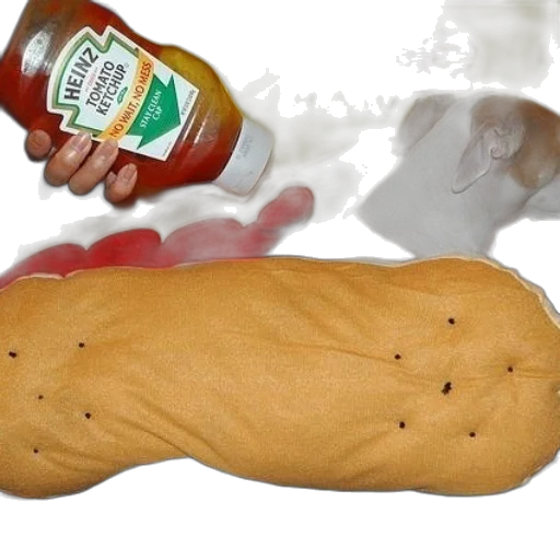 food, weapon, creature, jacket transparent PNG cut-out