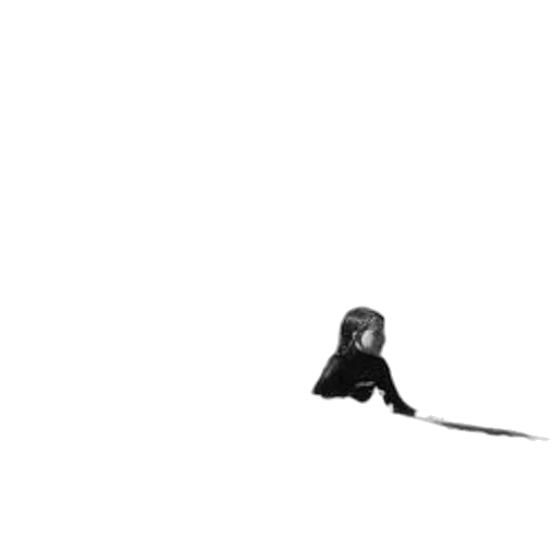 animal, staff, creature, hair transparent PNG cut-out