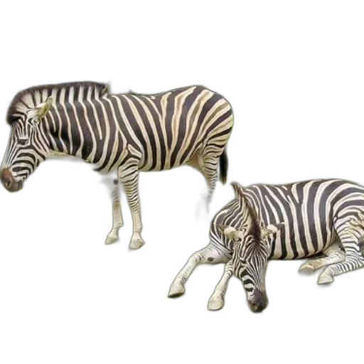 animal, jewelry, furniture, 3d render transparent PNG cut-out