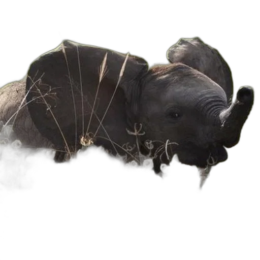 animal, creature, dragon, staff transparent PNG cut-out