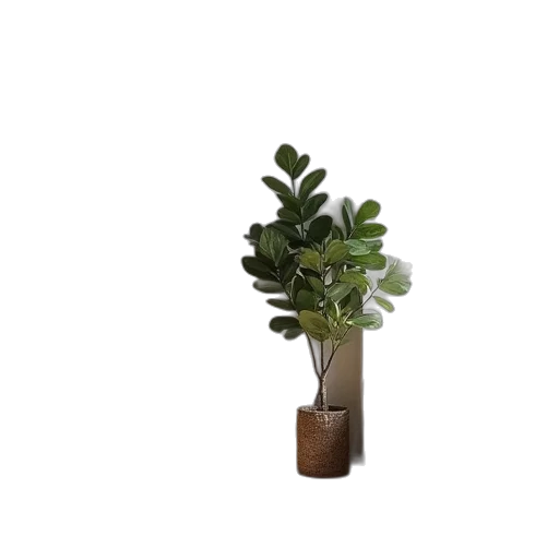 tree, crown, furniture, staff transparent PNG cut-out