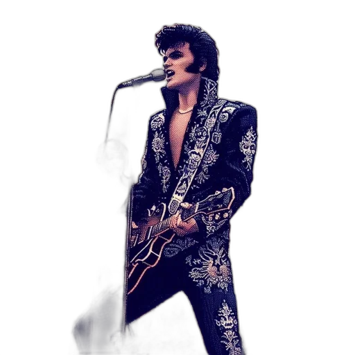 jacket, animal, hair, dragon transparent PNG cut-out