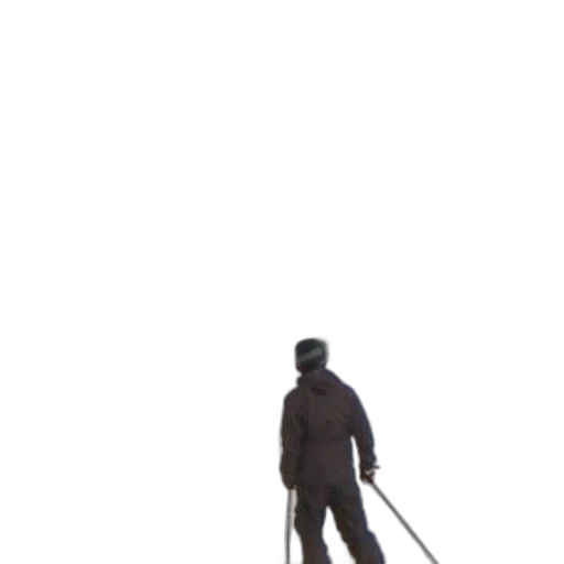 staff, robot, creature, animal transparent PNG cut-out
