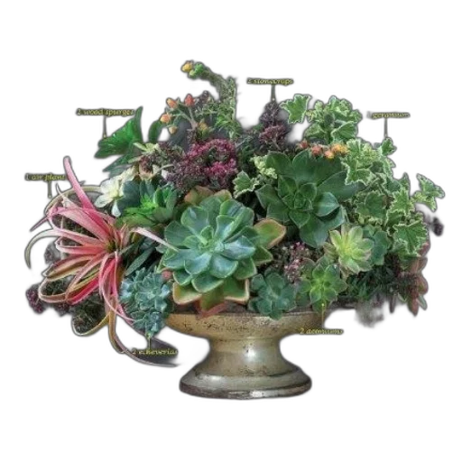 crown, jewelry, earth tones, plant transparent PNG cut-out