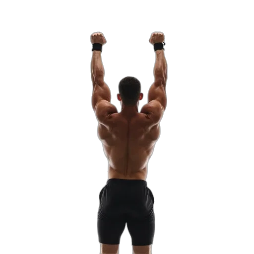 weapon, staff, animal, photorealistic transparent PNG cut-out
