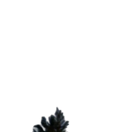 hair, crown, staff, dragon transparent PNG cut-out