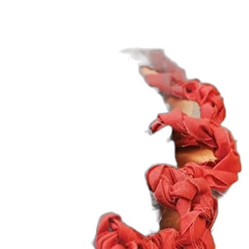 dragon, weapon, creature, flower transparent PNG cut-out