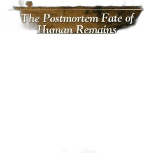 face, concept art, cover, book transparent PNG cut-out