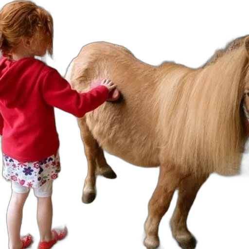 animal, hair, creature, photorealistic transparent PNG cut-out