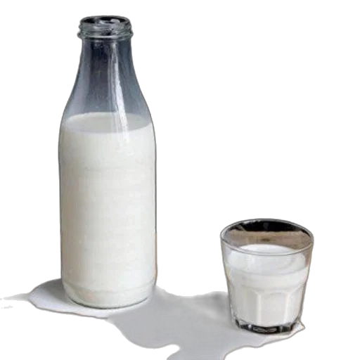 food, bottle, weapon, animal transparent PNG cut-out