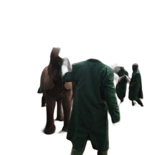 jacket, creature, staff, animal transparent PNG cut-out