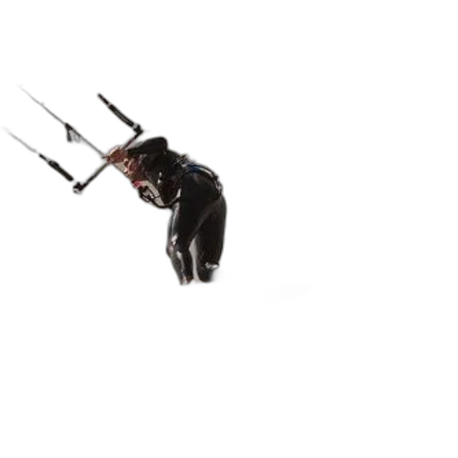 staff, animal, dragon, creature transparent PNG cut-out