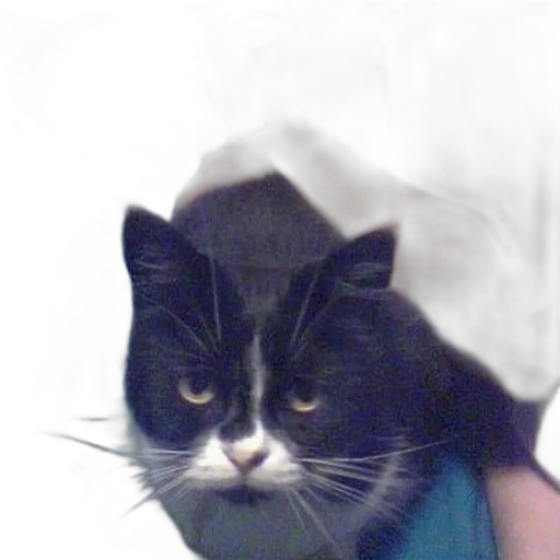 hat, staff, animal, creature transparent PNG cut-out