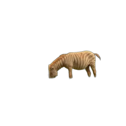 animal, creature, furniture, dragon transparent PNG cut-out
