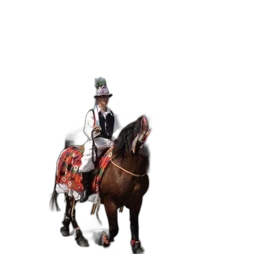 staff, animal, hat, crown transparent PNG cut-out